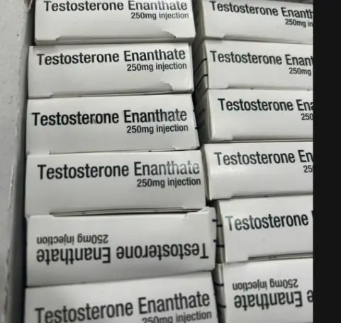 Thuốc Testosterone Enanthate 250mg Injection hỗ trợ điều trị rối loạn chức năng sinh lý